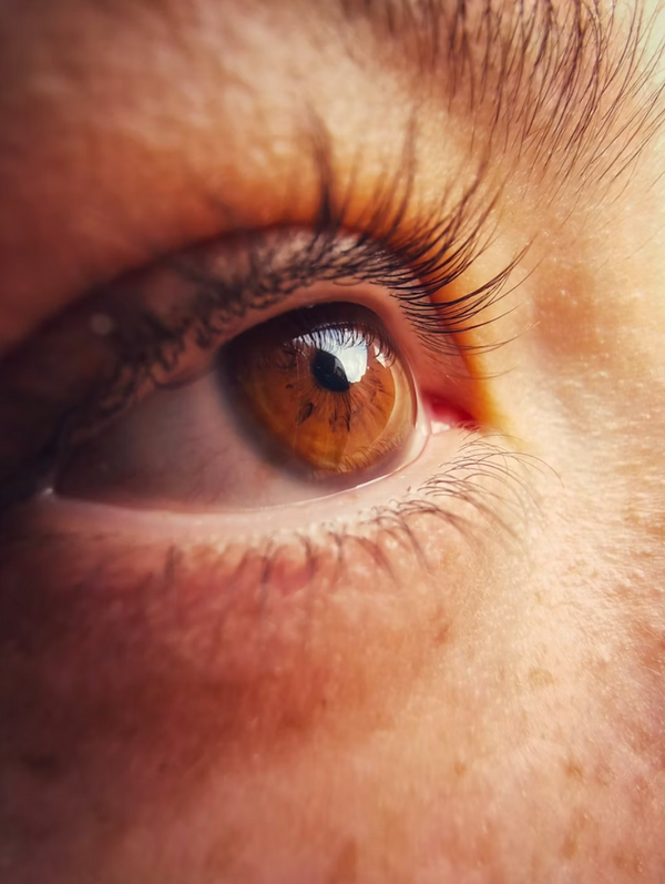 Lash Lift SOS: What happens if I get my lashes wet within the first 24 hours?