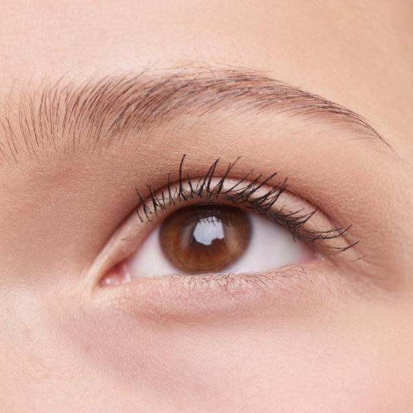 Lash Lift or Lash Extensions: Which Should You Choose?